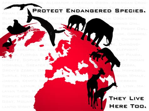 Why Should We Protect Endangered Animals Danger Choices Vrogue