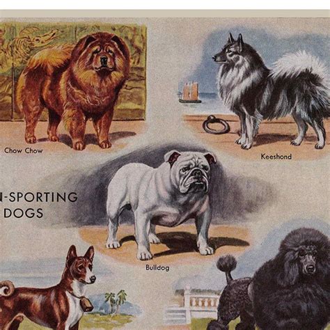 Vintage Dog Print Etsy
