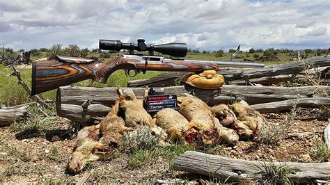 Review Of The Volquartsen Semi Auto 17wsm With Hunt Report Varminter