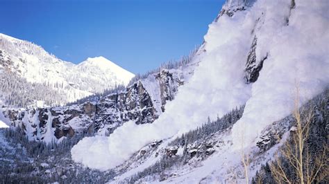 Scientists Say Avalanche