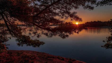 View Of Lake And Pine Tree During Sunset 4k Hd Nature Wallpapers Hd Wallpapers Id 55383