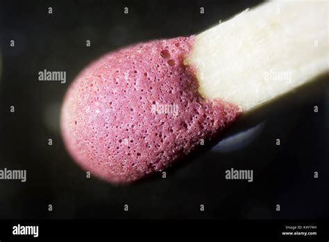 The Microscopic World Match Head Under The Microscope Stock Photo Alamy