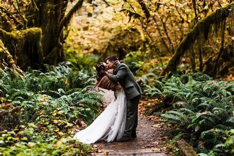Hoh Rainforest Elopement The Foxes Photography 🦊 Enchanted Forest