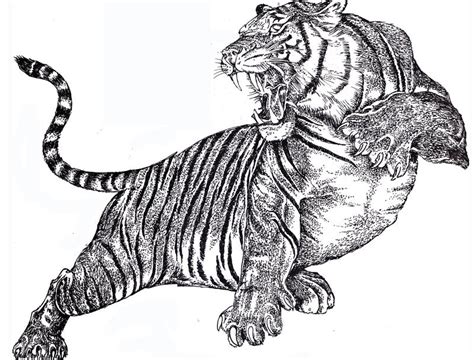 Roaring Tiger Inkart8 By Senraaj On Deviantart