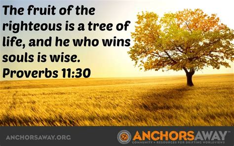 The Fruit Of The Righteous Is A Tree Of Life And He Who Wins Souls Is