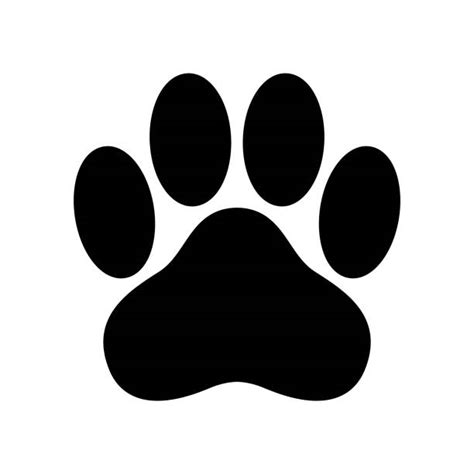 Best Dog Paw Print Illustrations Royalty Free Vector