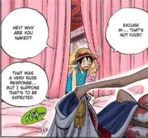 One Piece Is Luffy Gay Straight Or Asexual
