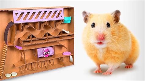 How To Make A Cardboard Labyrinth For Your Hamster Pets Youtube