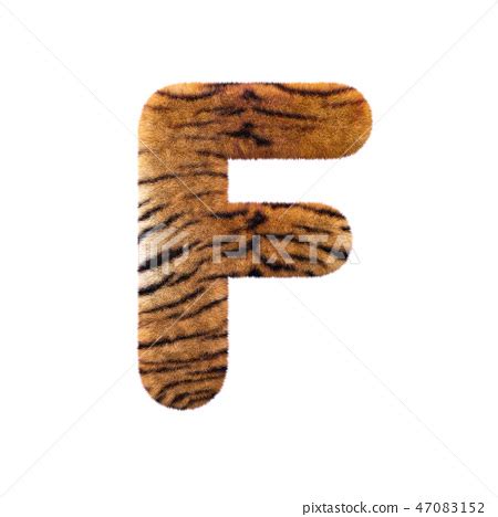 Tiger Letter F Upper Case 3d Feline Fur Font Stock Illustration