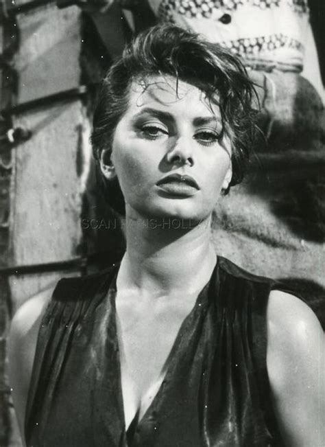 Sexy Sophia Loren La Donna Del Fiume 1955 Vintage Photo Original Sofia Loren Marlene Dietrich