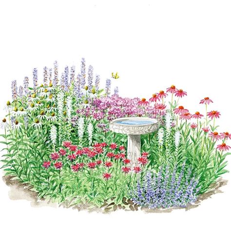 Establishing a butterfly garden at your home or workplace is a rewarding approach to attract these exquisite insects while simultaneously aiding their conservation. Hummingbird-Butterfly Garden for Sun | White Flower Farm