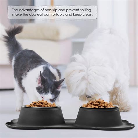 Best Cat Water Bowls That Wont Tip Over 2022 Review No Spill Proof