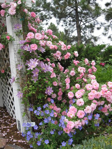 Download sheet music for the rose. Kent and Rolayne: Rose Garden