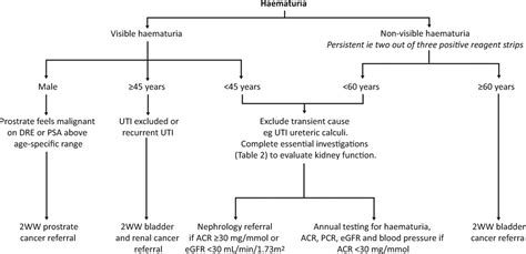 Indications And Considerations For Kidney Biopsy An Overview Of