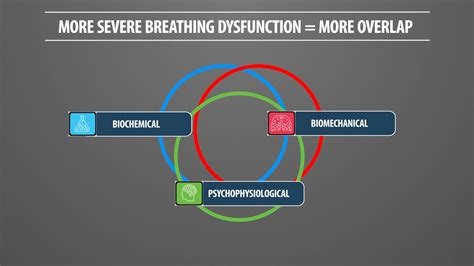 Assessing And Correcting Breathing Dysfunctions 16 Sep 2018 Chicago