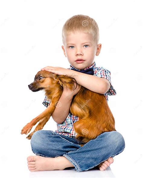 Little Boy Patting Dog Head Isolated On White Background Stock Photo