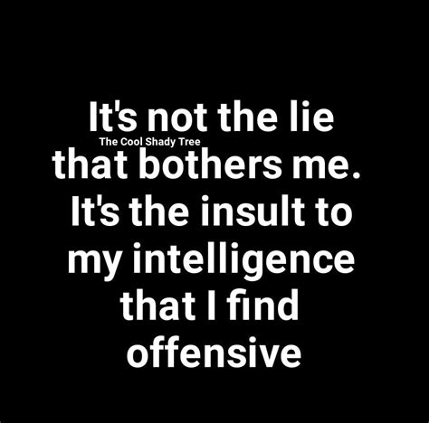 It S Not The Lie That Bothers Me It S The Insult To My Intelligence That I Find Offensive