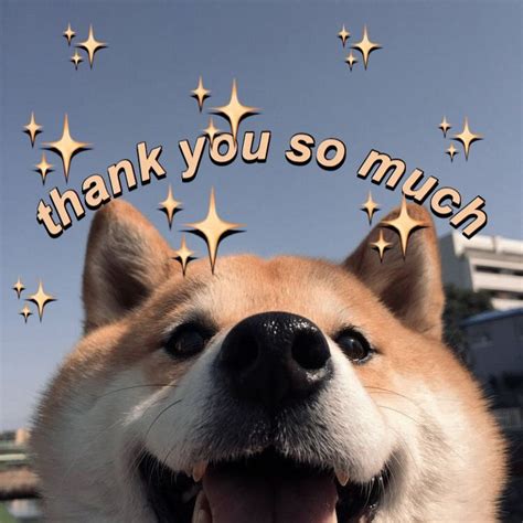 Funny Thank You Meme