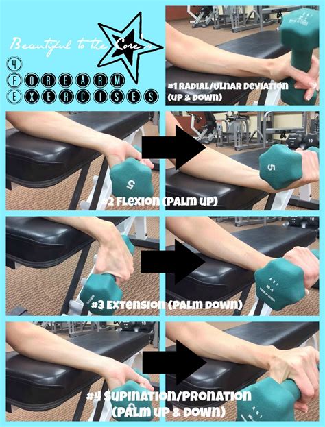 Anatomy Lesson Forearmwrist Musculature Forearm Workout Tendinitis