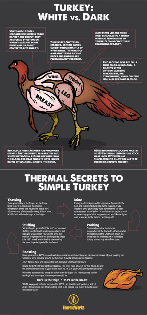 Turkey Meat White Vs Dark Understanding Your Bird Thermapen Thermoworks Thanksgiving