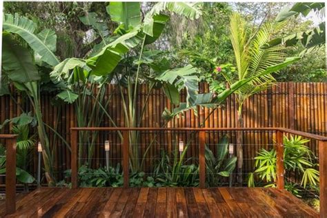 Photograph by matthew williams for gardenista: 17 Wonderful Bamboo Fences Ideas To Beautify Your Outdoors ...