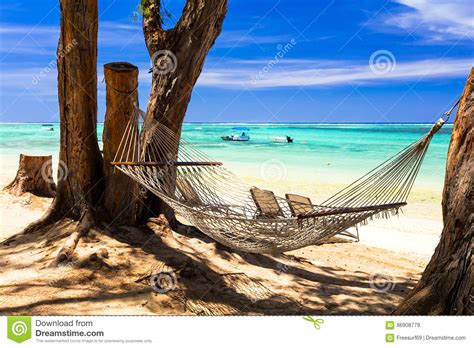 Tropical Holidays Relax In Hammock On The Beach Stock