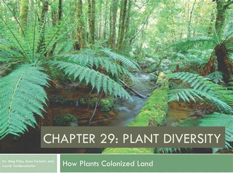 Ppt Chapter 29 Plant Diversity Powerpoint Presentation Free