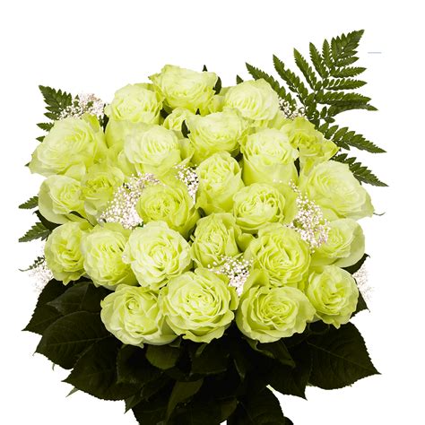 Paper flower fillers will add much more value to your paper flowers bouquet. Roses Bouquets 2 Dozen Green Blooms Filler Flowers ...