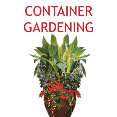 Container Gardening 101 By Mmotio