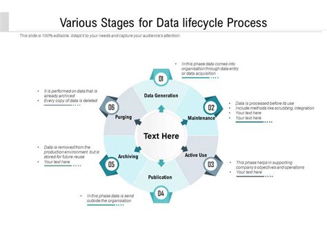 Various Stages For Data Lifecycle Process Powerpoint Presentation