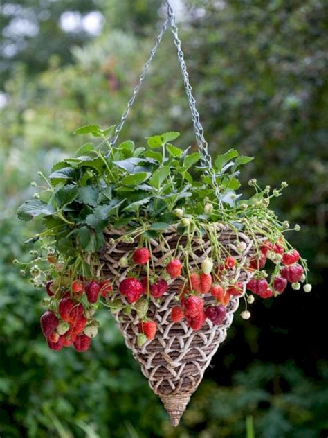 Great Idea 45 Best Vertical Gardening Inspiration What You Need To Try