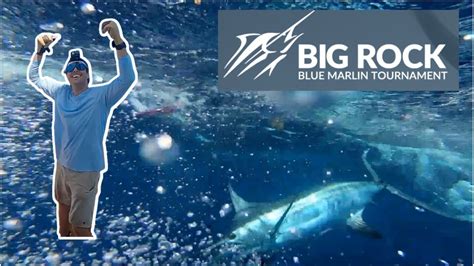 Big Rock Blue Marlin Release 2022 Morehead City Nc Youtube