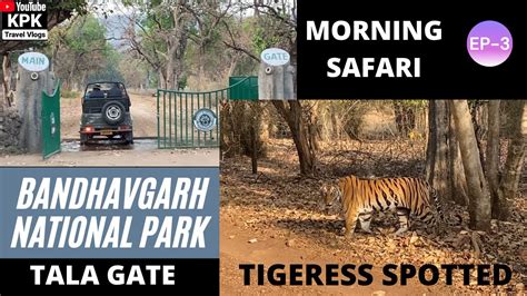 Bandhavgarh National Park Tiger Spotted Tala Zone Jungle Safari