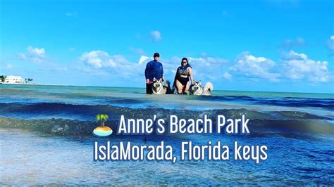 Annes Beach Park Islamorada Pet Friendly Beach In The Florida Keys
