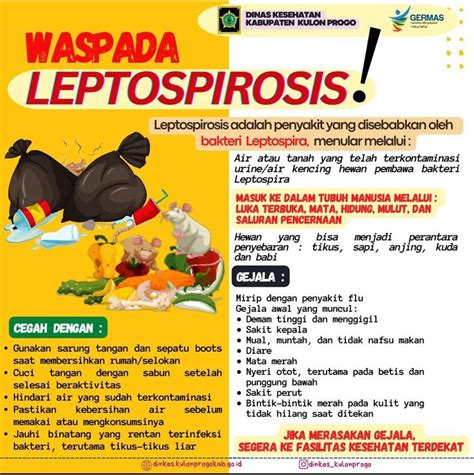 Dinkes Waspada Leptospirosis