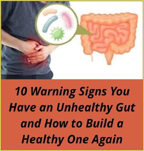 10 warning signs you have an unhealthy gut and how to build a healthy one again warning signs
