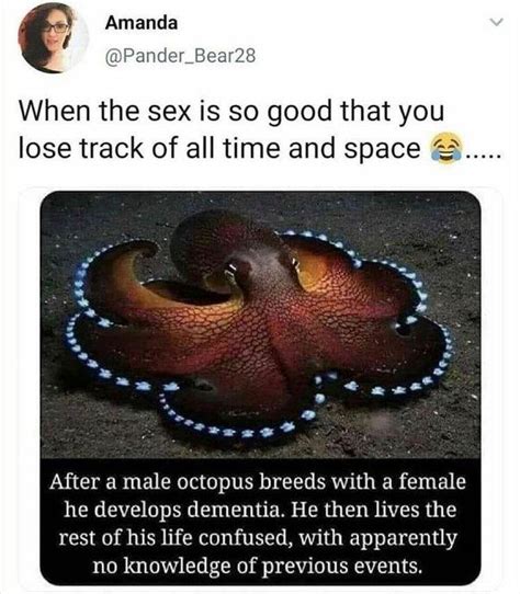 Octopus Sex Twitter Know Your Meme