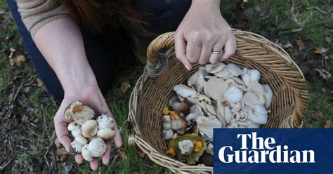 On The Joys Of British Mushroom Foraging Letters Life And Style