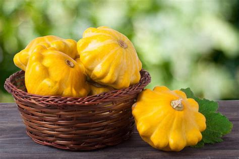 Maybe you would like to learn more about one of these? 60 Yellow zucchini seeds Organic seeds Non gmo seeds ...