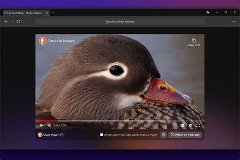 Duckduckgos Privacy Focused Browser Is Now Available For Windows Users
