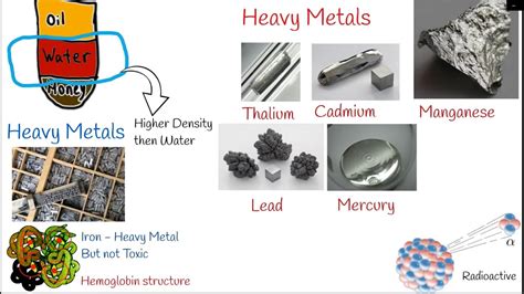 Heavy Metal Poisoning Toxicity Causes Symptoms And Treatment Lead