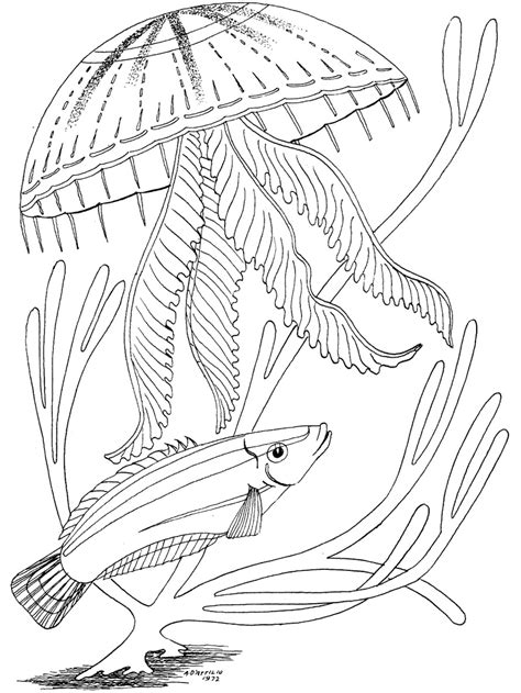 So i'm digging through the artwork i drew from my other previously published adult coloring books to find some more sample pages to share with you! Ocean Coloring Pages - PrimaryGames.com