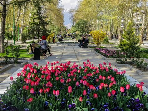 Jenis bunga yang terdapat di taman bunga selecta adalah jenis langka dan juga umum. TAMAN KOTA TERINDAH DI DUNIA | cisbipedia