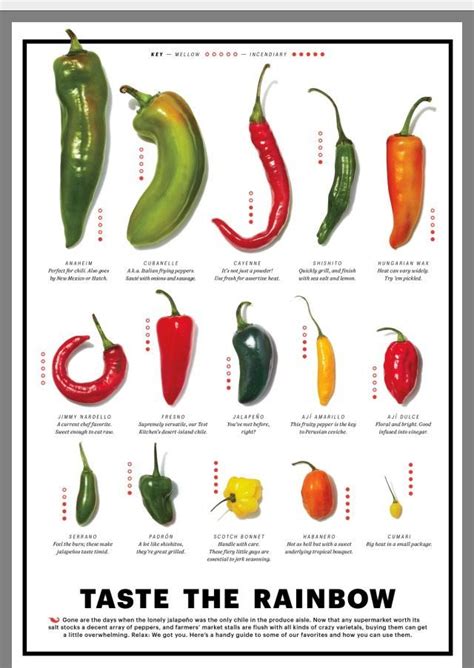 Hot Pepper Varieties Uploaded By Barb Murphy Sweet Banana Peppers