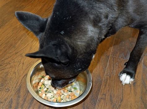 Try nom nom dog food get 50% off + free shipping click for details. Unbiased Nom Nom Dog Food Review 2020 - Pup Junkies