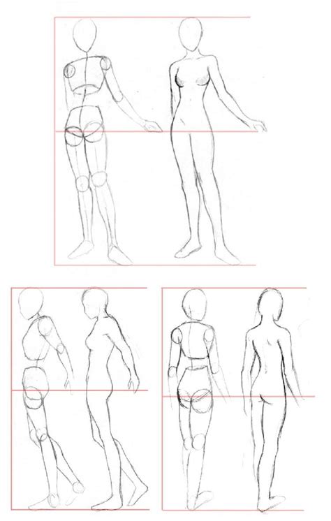 Esbo O Corpo Feminino Desenhando Corpo Feminino Desenhos Corpo Desenho Corpo Humano