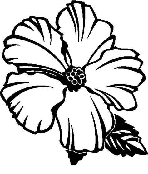 Hawaiian Flower Coloring Pages Printable Printable Flower Coloring