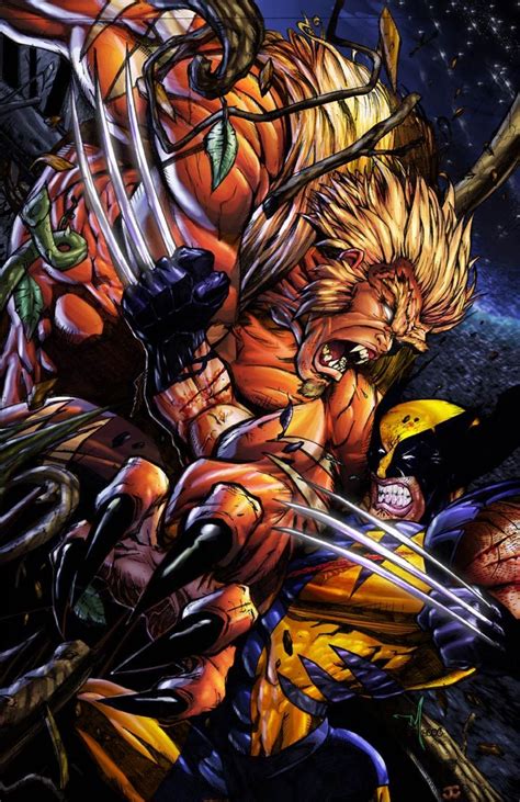Wolverine Sabertooth Wolverine Marvel Sabertooth Sabretooth Marvel