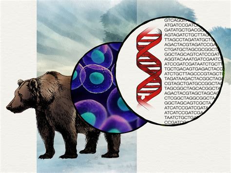 Evolution | NOVA Labs | PBS