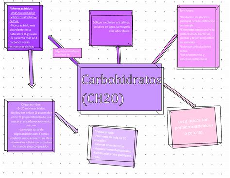 Top Imagen Mapa Mental De Los Carbohidratos Viaterra Mx